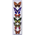 2" x 7-1/2" Stock Full Color Bookmarks (Butterfly)